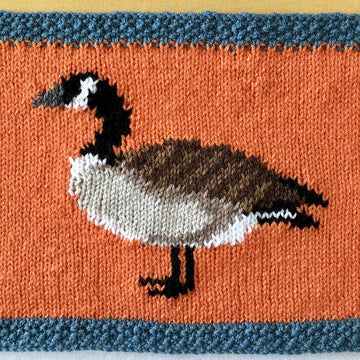 On the River Table Placemats