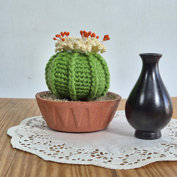 Ball cactus with flower