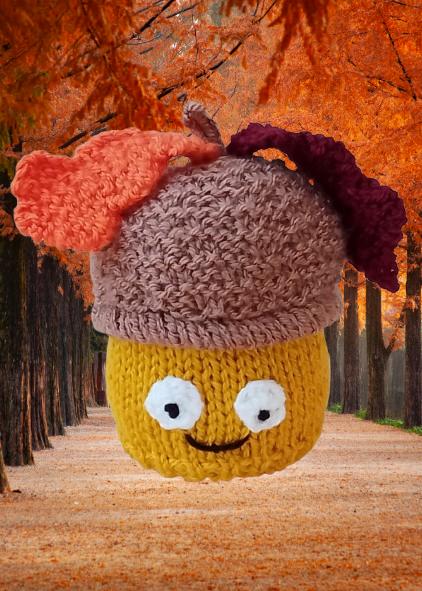 Acorn Chocolate Orange Cosy