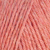 Grapefruit (95110)
