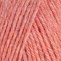 Grapefruit (95110)