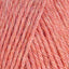 Grapefruit (95110)