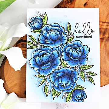 Hero Arts + Gina K 6"X8" Stamp Set - Friendship Blooms