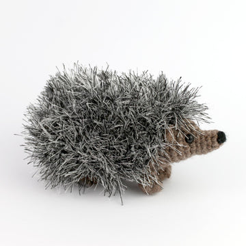 Curious hedgehog