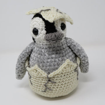 Hatching Penguin Chick