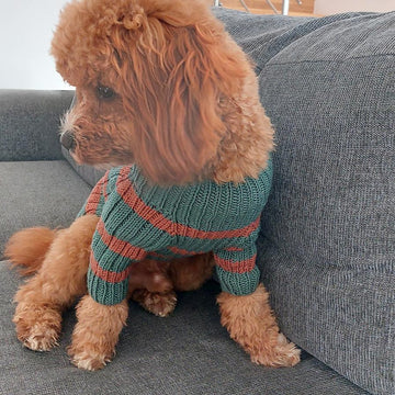 Dog Sweater Charlie No.2