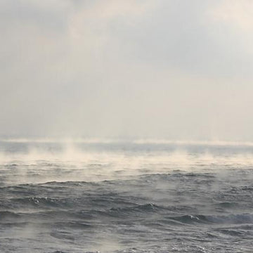 North Sea Mist