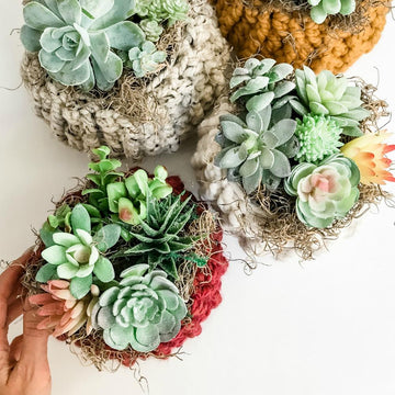 Succulent Pumpkin Cozy