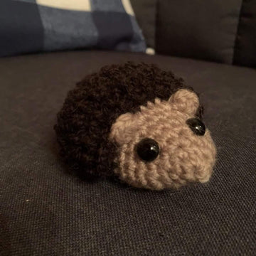 Hetti the hedgehog