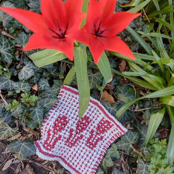 Tulip Fields