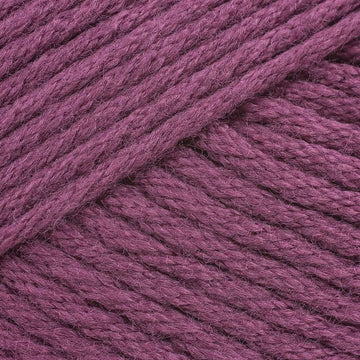 Raspberry Coulis (9717)
