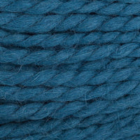 Blue Coral (12)