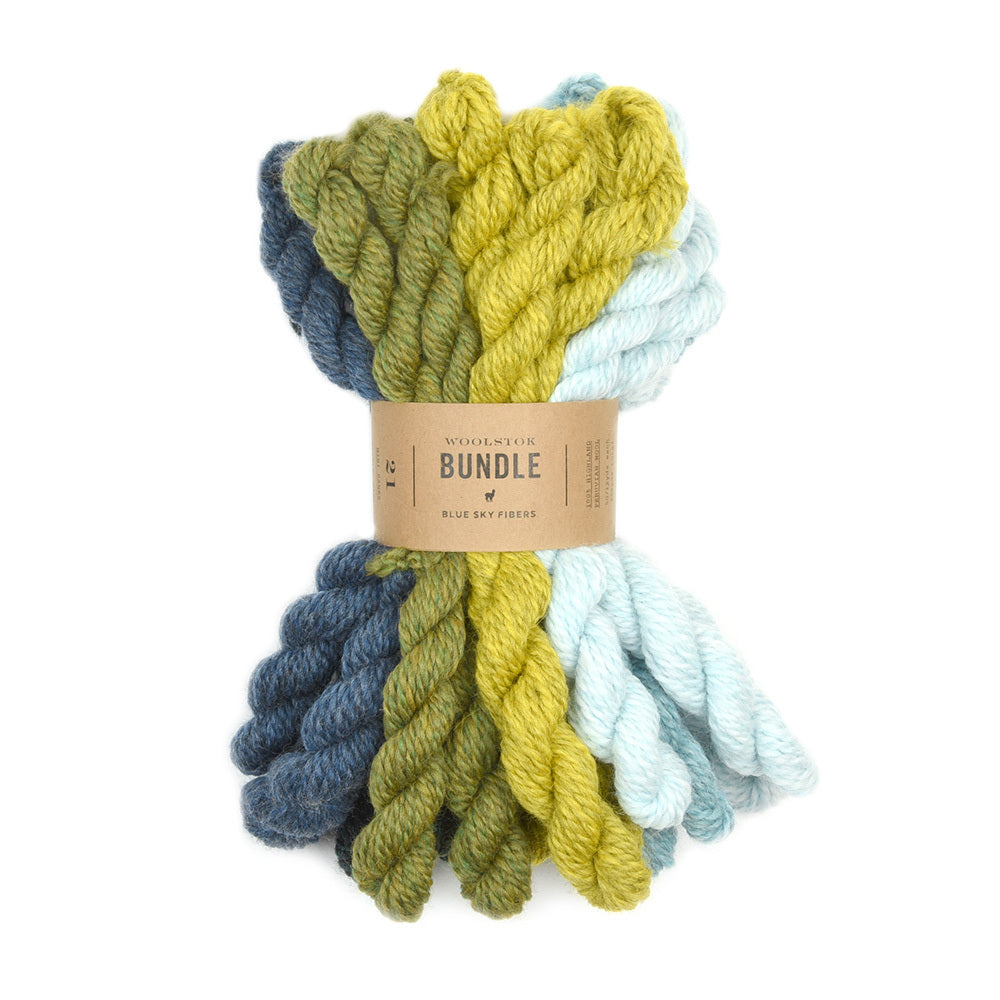Blue Sky Fibers Woolstok Bundle