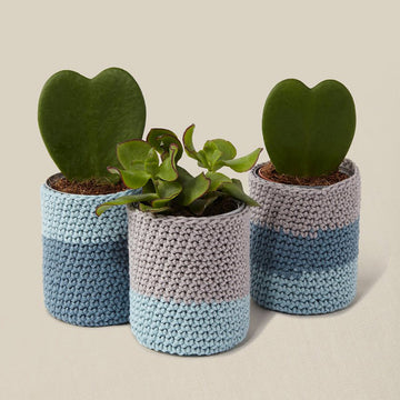 DMC Mindful Making The Peaceful Plant Pot Holders Crochet Kit