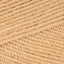 Light Caramel (308)