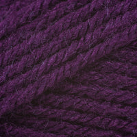 Eggplant (145)