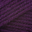 Eggplant (145)