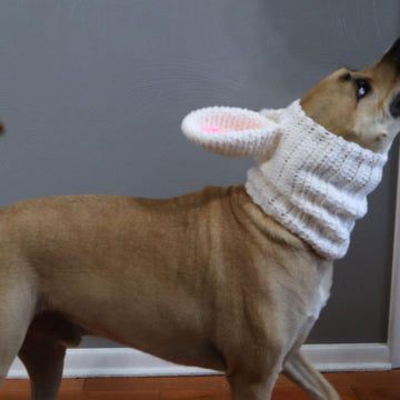 Bunny Dog Snood
