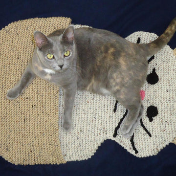 Hide and Sleep Blanket for Pets