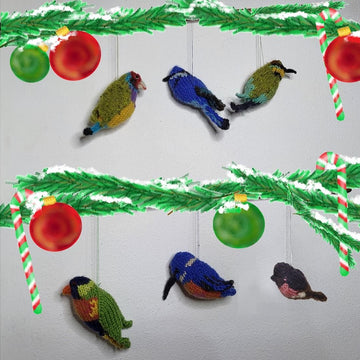 A Rainbow of Aussie Birds