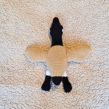 Canadian goose