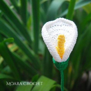 Crochet Calla Lily