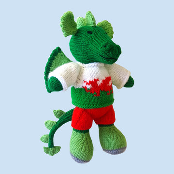 Welsh Dragon Boy