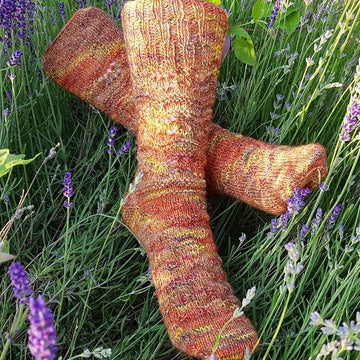 Löwe