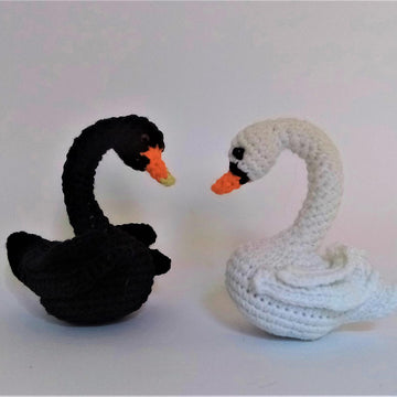 Swan