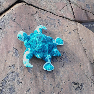 Hearty Turtle