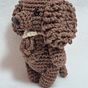Spaniel Dog