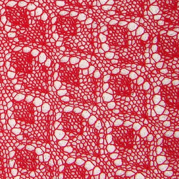 En Fuego Shawl