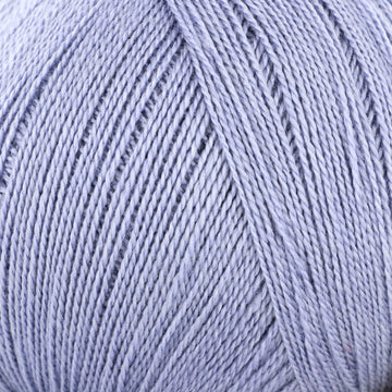 Chicory (72)
