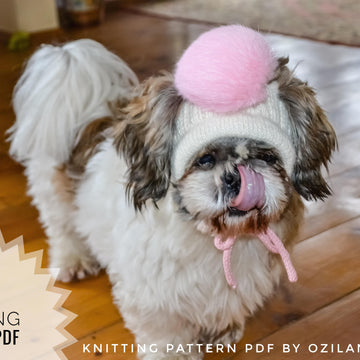 Wool dog hat with pom pom
