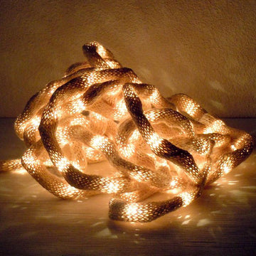 Hydra Lamp