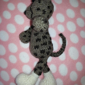 Cheetah