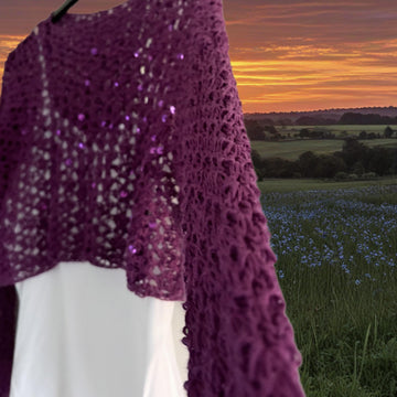 Sequin Crochet Top
