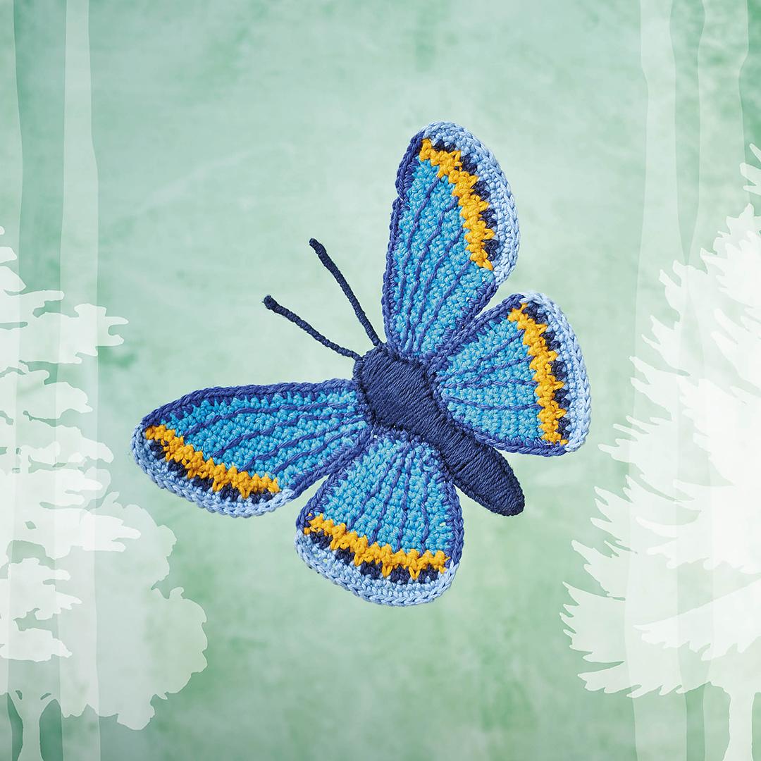 Karner Blue Butterfly