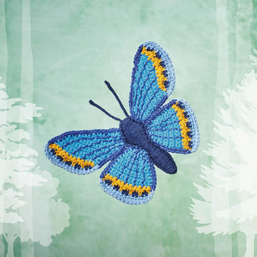 Karner Blue Butterfly