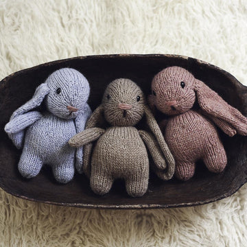 Bebe Bunny