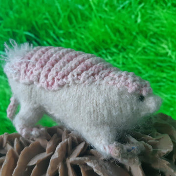 Fairy armadillo