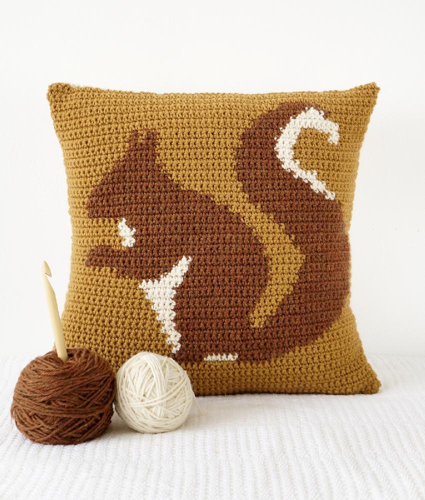 Squirrel Cushion