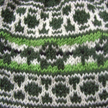 Turtle beanie