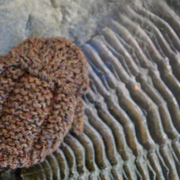 Trilobite