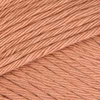 Apricot (29)