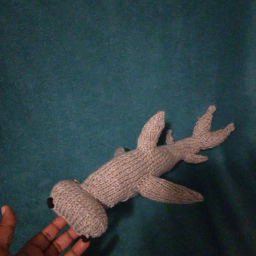 Hammerhead Shark