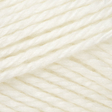 Snow (8300)