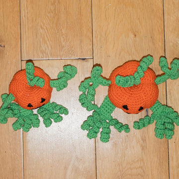 Pumpkin