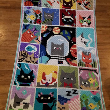 Catghan C2C Blanket