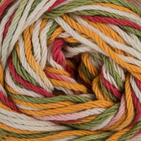Mango Madness (2626)